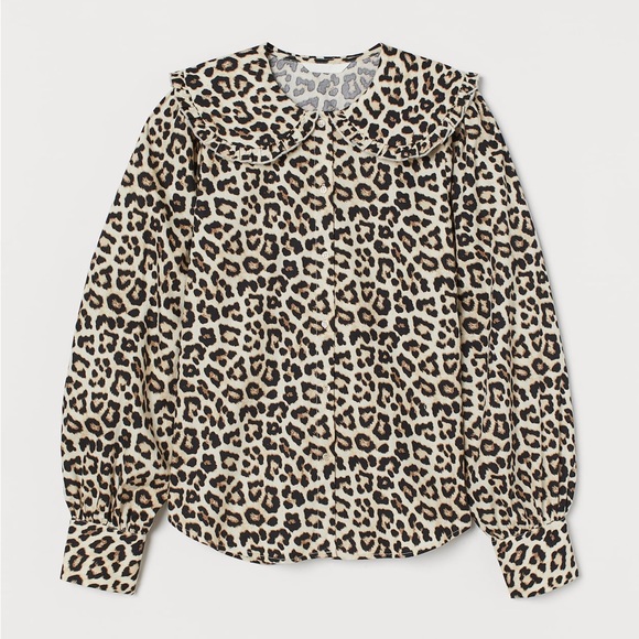 Leopard Print Collared Blouse - Picture 1 of 11